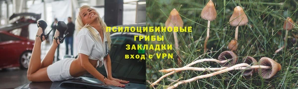 бошки Аркадак