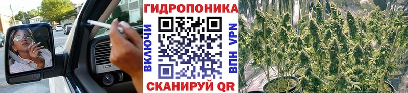 даркнет сайт  Семикаракорск  блэк спрут как зайти  Бошки марихуана семена 